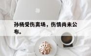 开云官方体育app官网-孙杨受伤离场，伤情尚未公布。