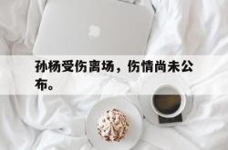 开云官方体育app官网-孙杨受伤离场，伤情尚未公布。