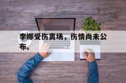 开云官方体育app官网-李娜受伤离场，伤情尚未公布。