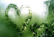 开云官方体育app官网-库里焦点对战，蒂姆与30激战掘金分钟，大比分获胜胜负难料！