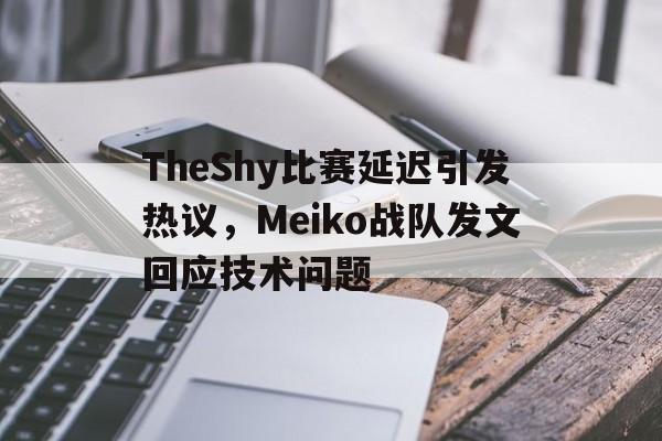 TheShy比赛延迟引发热议，Meiko战队发文回应技术问题
