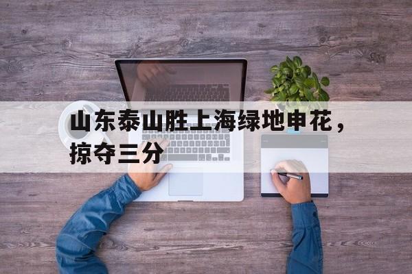 山东泰山胜上海绿地申花，掠夺三分